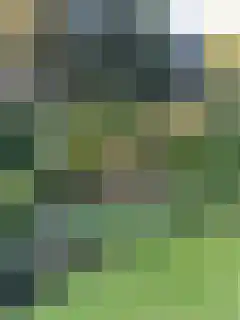 Torenlaan 11 Warnsveld thumbnail 64