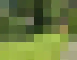 Torenlaan 11 Warnsveld thumbnail 65