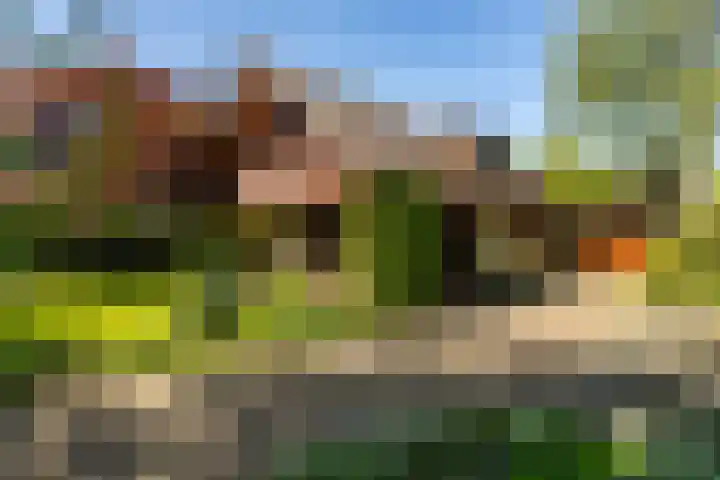 Torenlaan 11 Warnsveld thumbnail 66
