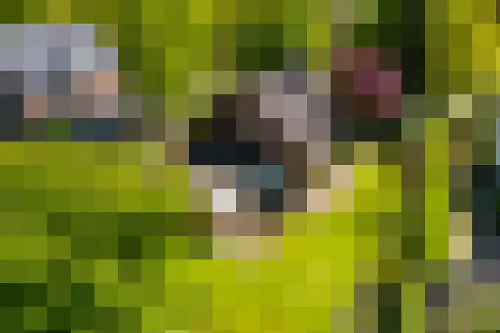 Torenlaan 11 Warnsveld thumbnail 67