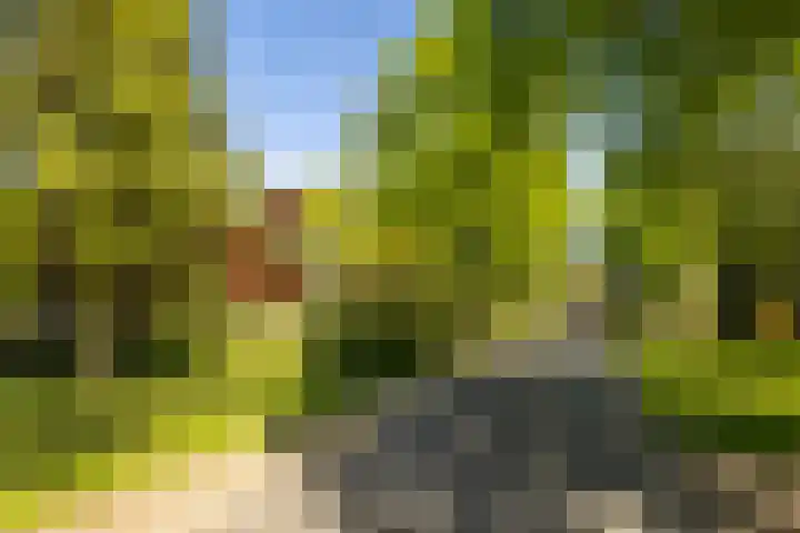 Torenlaan 11 Warnsveld thumbnail 69