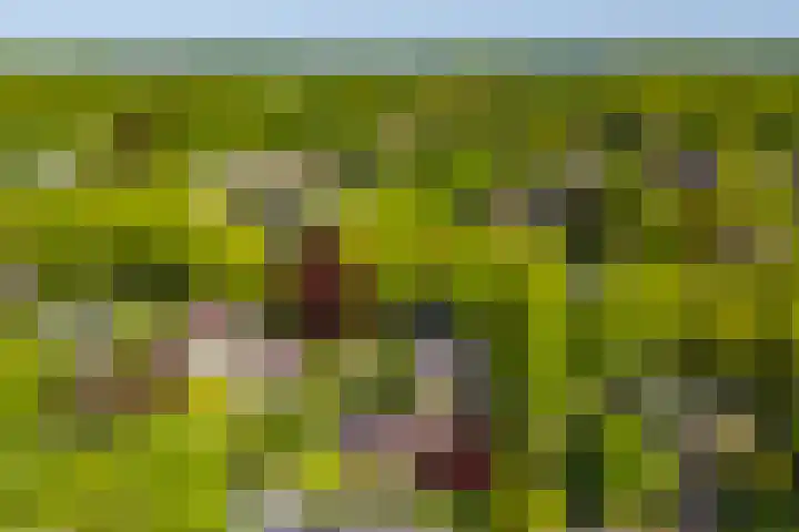 Torenlaan 11 Warnsveld thumbnail 70