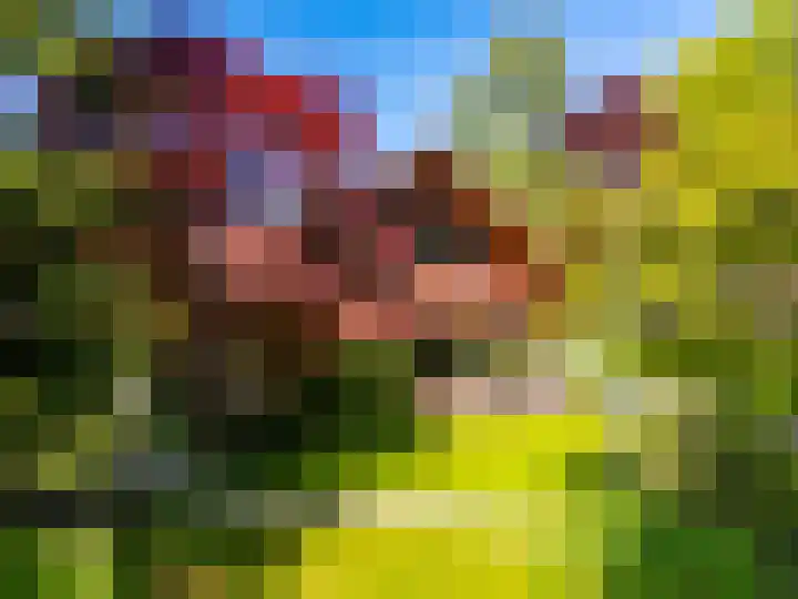 Torenlaan 11 Warnsveld thumbnail 77