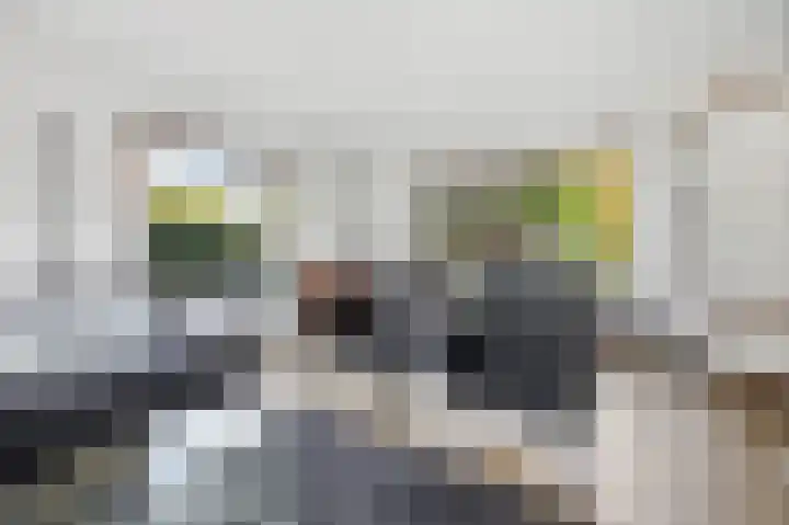 Torenlaan 12 Heelsum thumbnail 11
