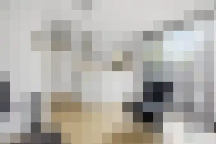 Torenlaan 12 Heelsum thumbnail 14
