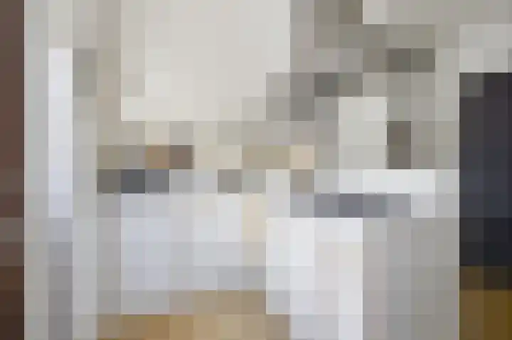 Torenlaan 12 Heelsum thumbnail 15