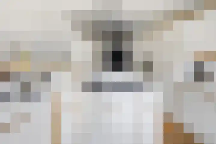 Torenlaan 12 Heelsum thumbnail 17
