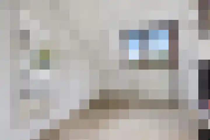 Torenlaan 12 Heelsum thumbnail 39