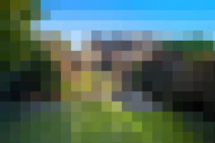 Torenlaan 12 Heelsum thumbnail 4