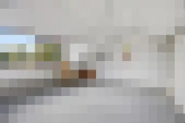 Torenlaan 12 Heelsum thumbnail 42