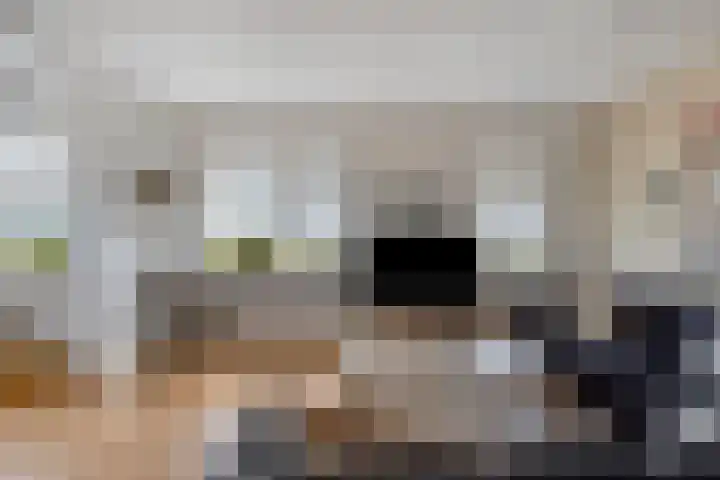 Torenlaan 15 Voorhout thumbnail 10