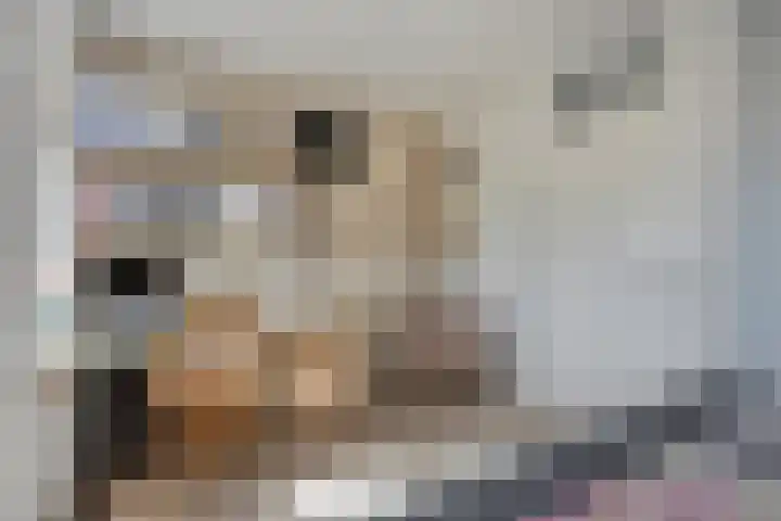 Torenlaan 15 Voorhout thumbnail 21