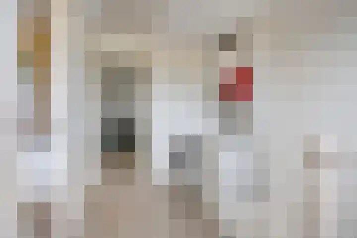 Torenlaan 15 Voorhout thumbnail 24
