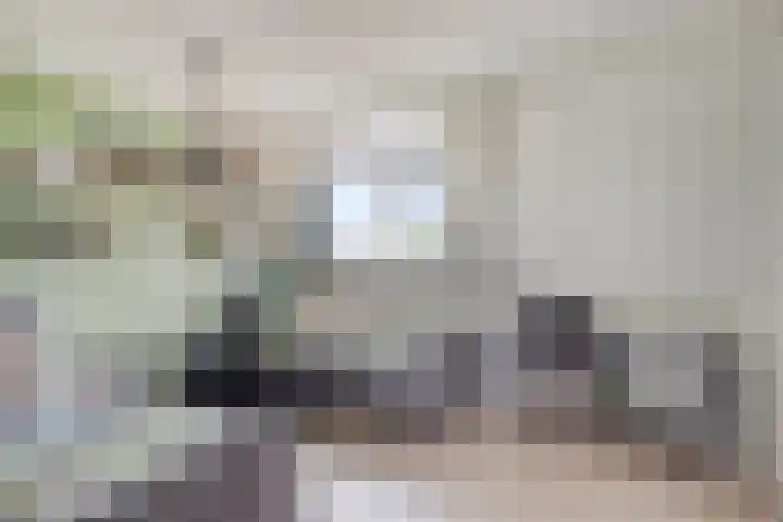 Torenlaan 15 Voorhout thumbnail 25