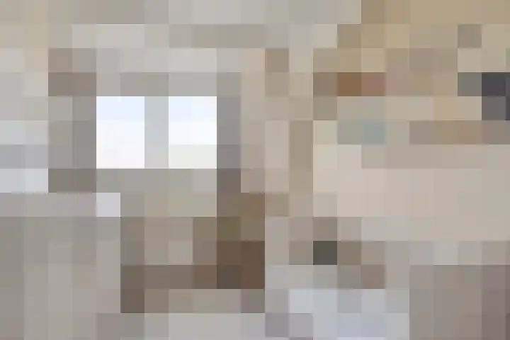 Torenlaan 15 Voorhout thumbnail 27