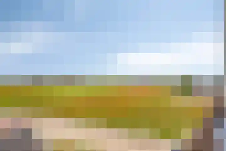 Torenlaan 15 Voorhout thumbnail 29