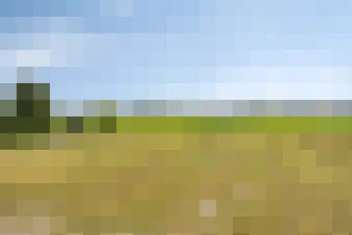Torenlaan 15 Voorhout thumbnail 31