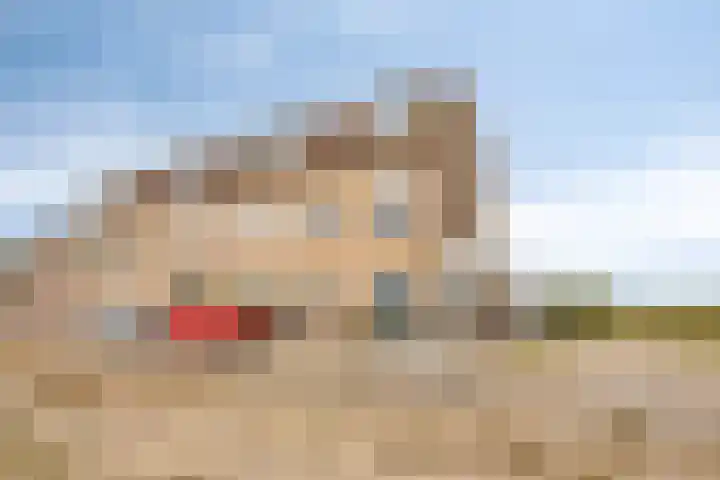 Torenlaan 15 Voorhout thumbnail 5