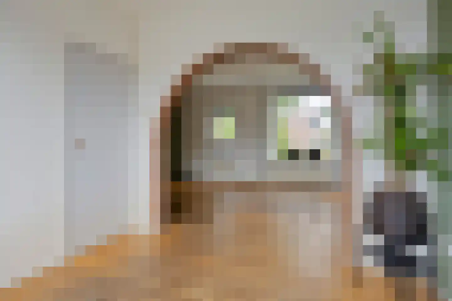 Torenlaan 16 Haren Gn thumbnail 21
