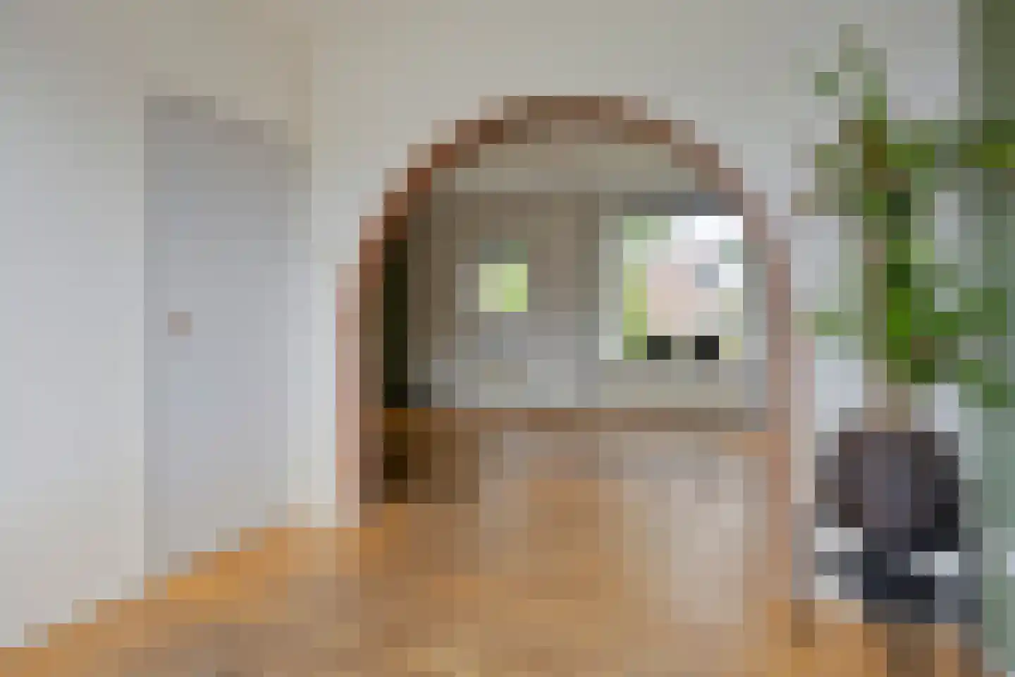Torenlaan 16 Haren Gn thumbnail 5