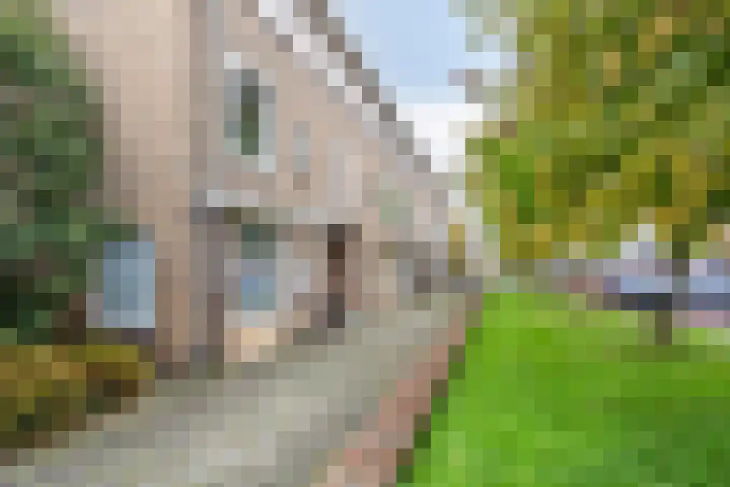 Torenlaan 16 Haren Gn thumbnail 7