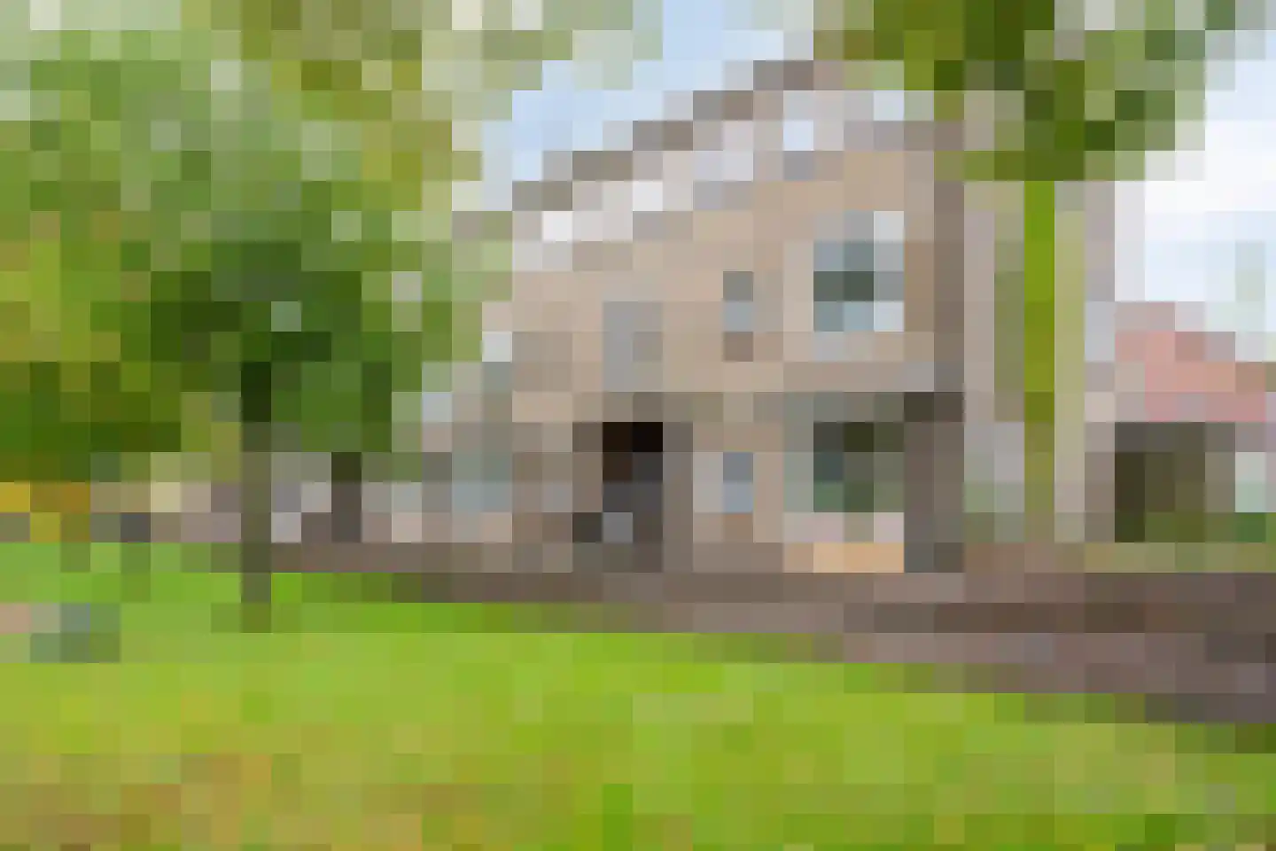 Torenlaan 16 Haren Gn thumbnail 9