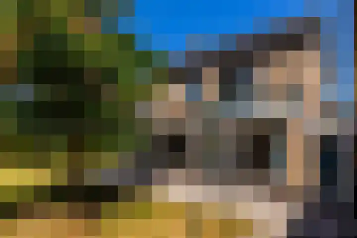 Torenlaan 16 Warnsveld thumbnail 18