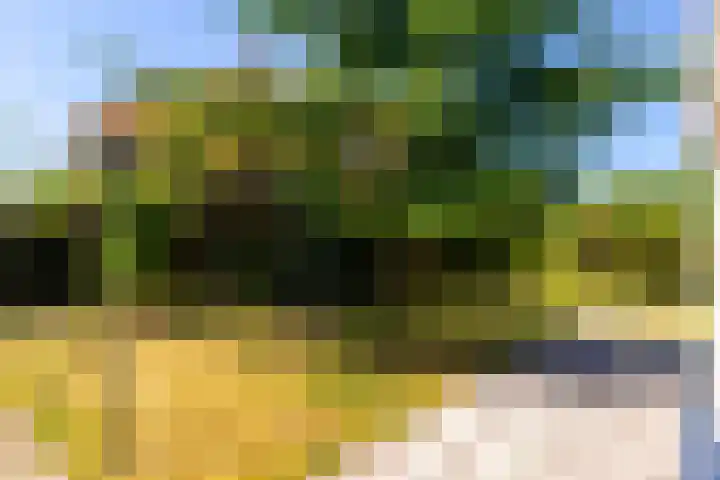 Torenlaan 16 Warnsveld thumbnail 19