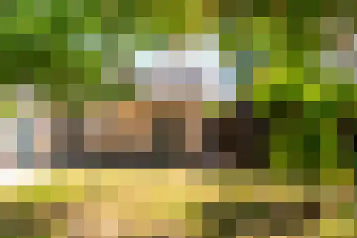 Torenlaan 16 Warnsveld thumbnail 20