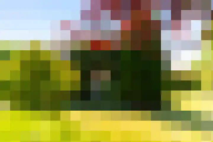 Torenlaan 16 Warnsveld thumbnail 24