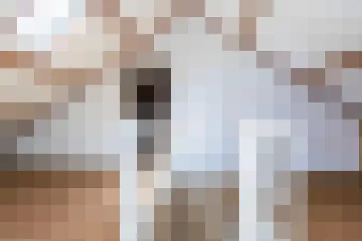 Torenlaan 16 Warnsveld thumbnail 36