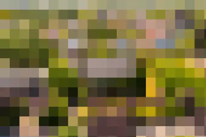 Torenlaan 16 Warnsveld thumbnail 38