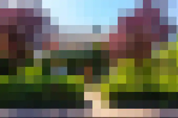 Torenlaan 16 Warnsveld thumbnail 5