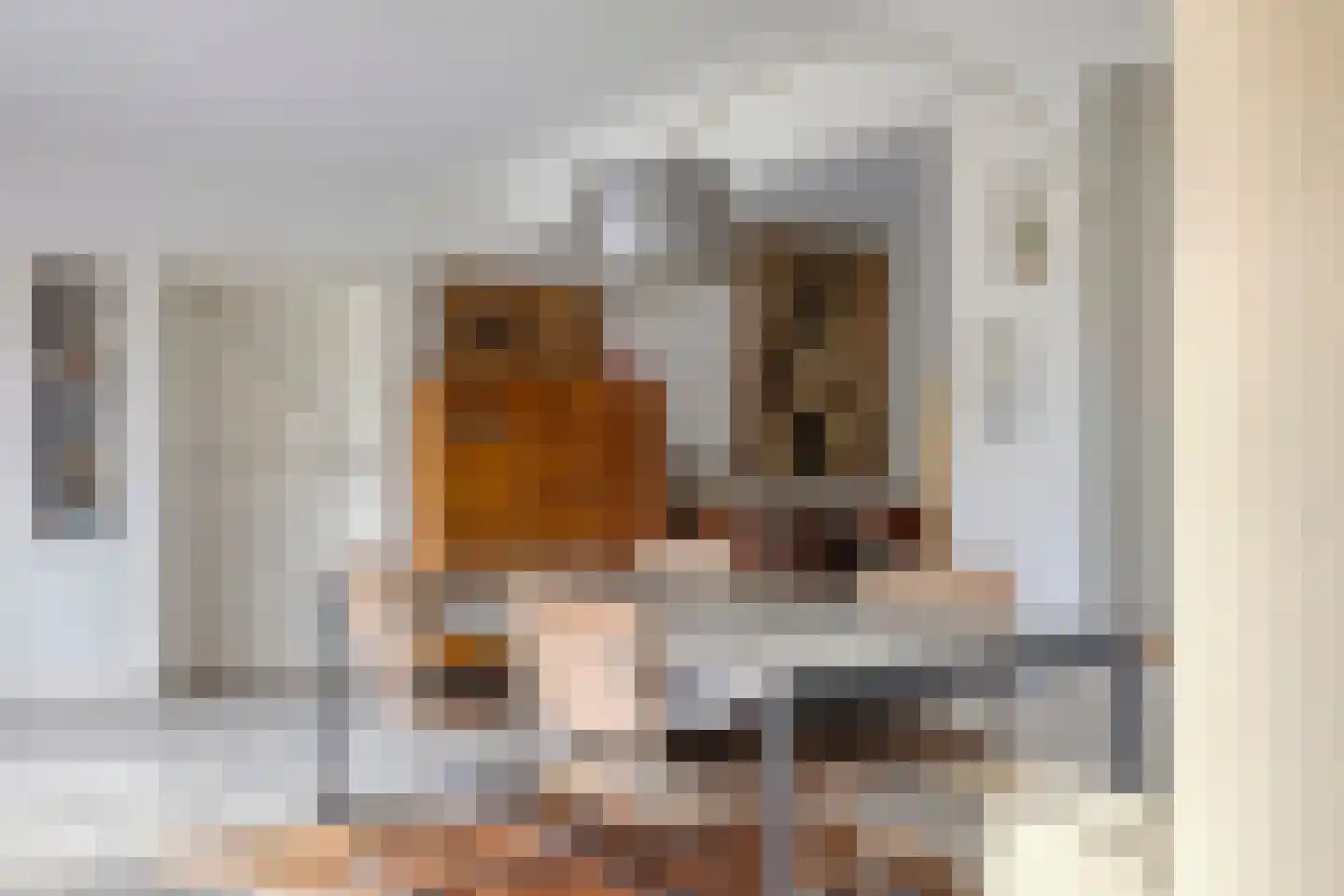 Torenlaan 19 Rossum thumbnail 15