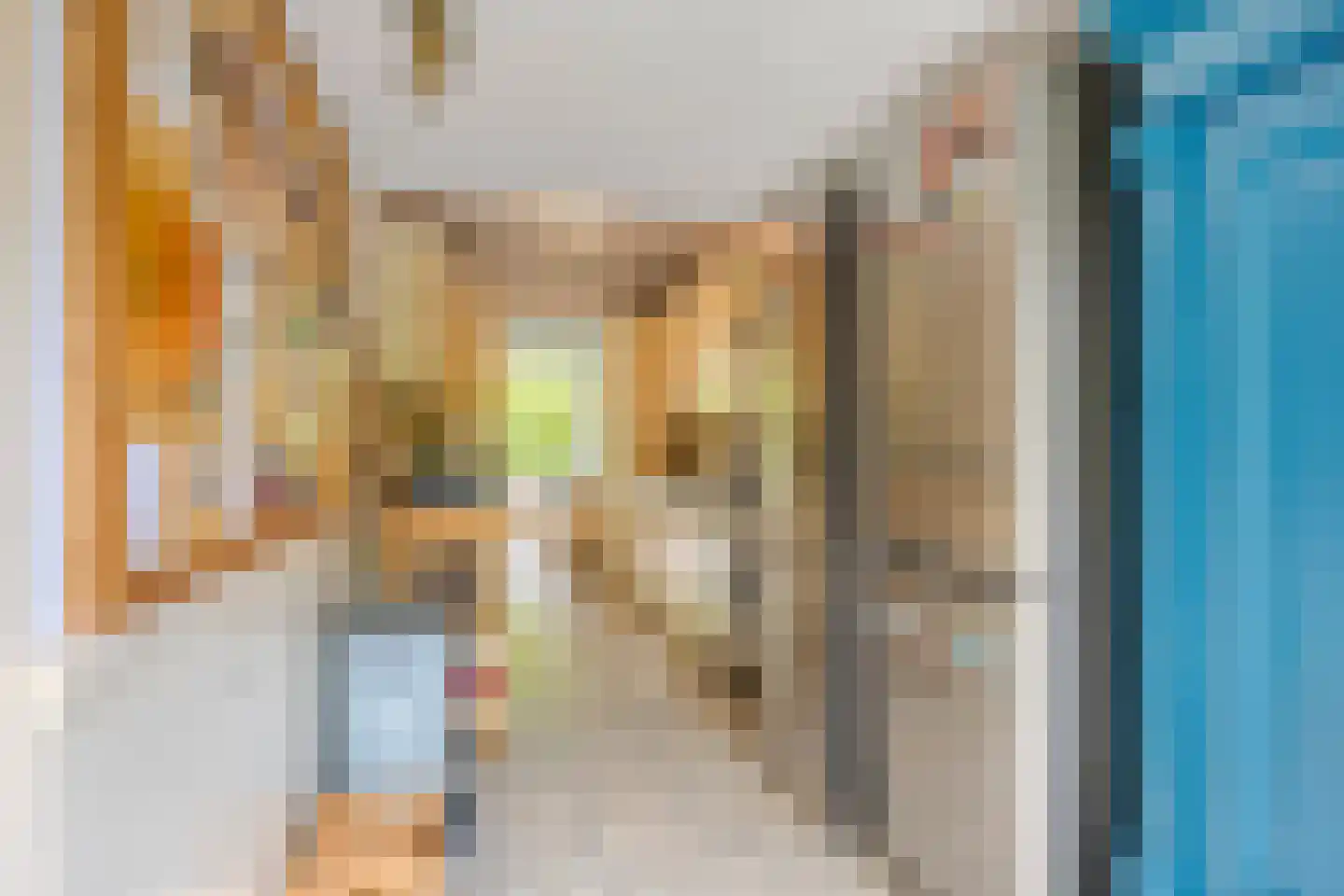 Torenlaan 19 Rossum thumbnail 16