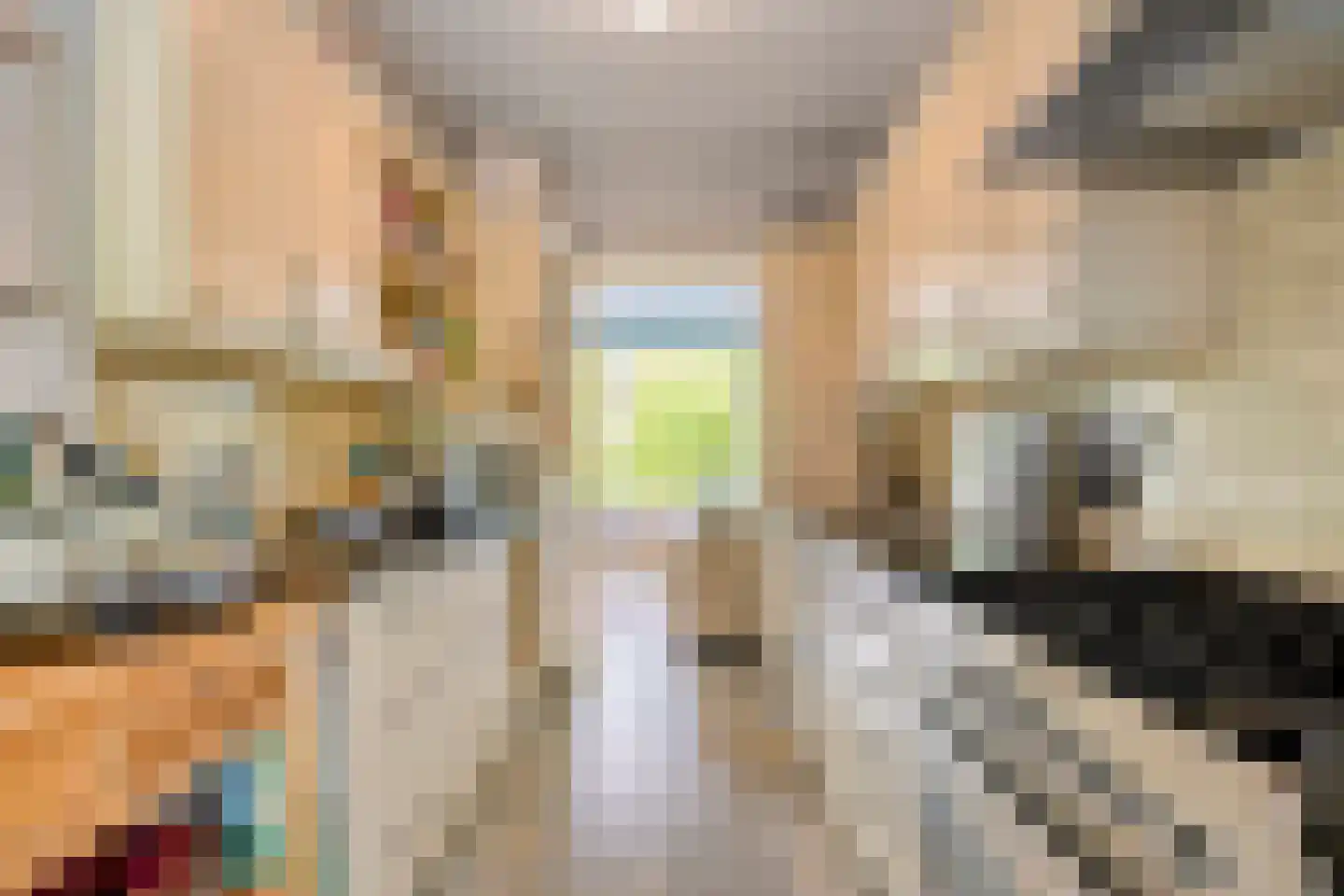 Torenlaan 19 Rossum thumbnail 17