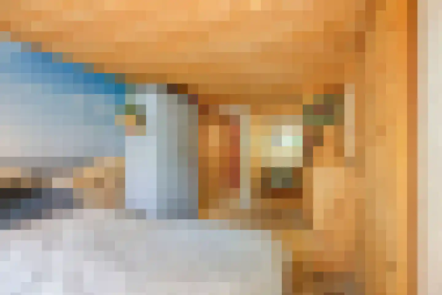Torenlaan 19 Rossum thumbnail 21