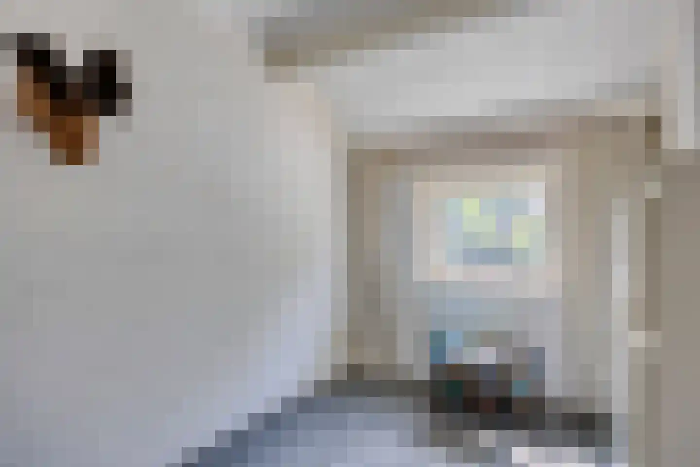 Torenlaan 19 Rossum thumbnail 30
