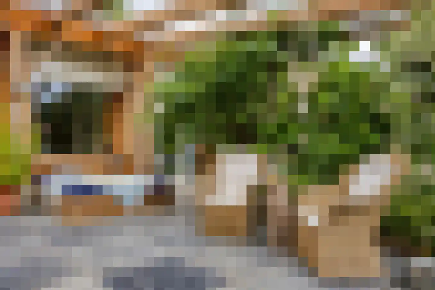 Torenlaan 19 Rossum thumbnail 37