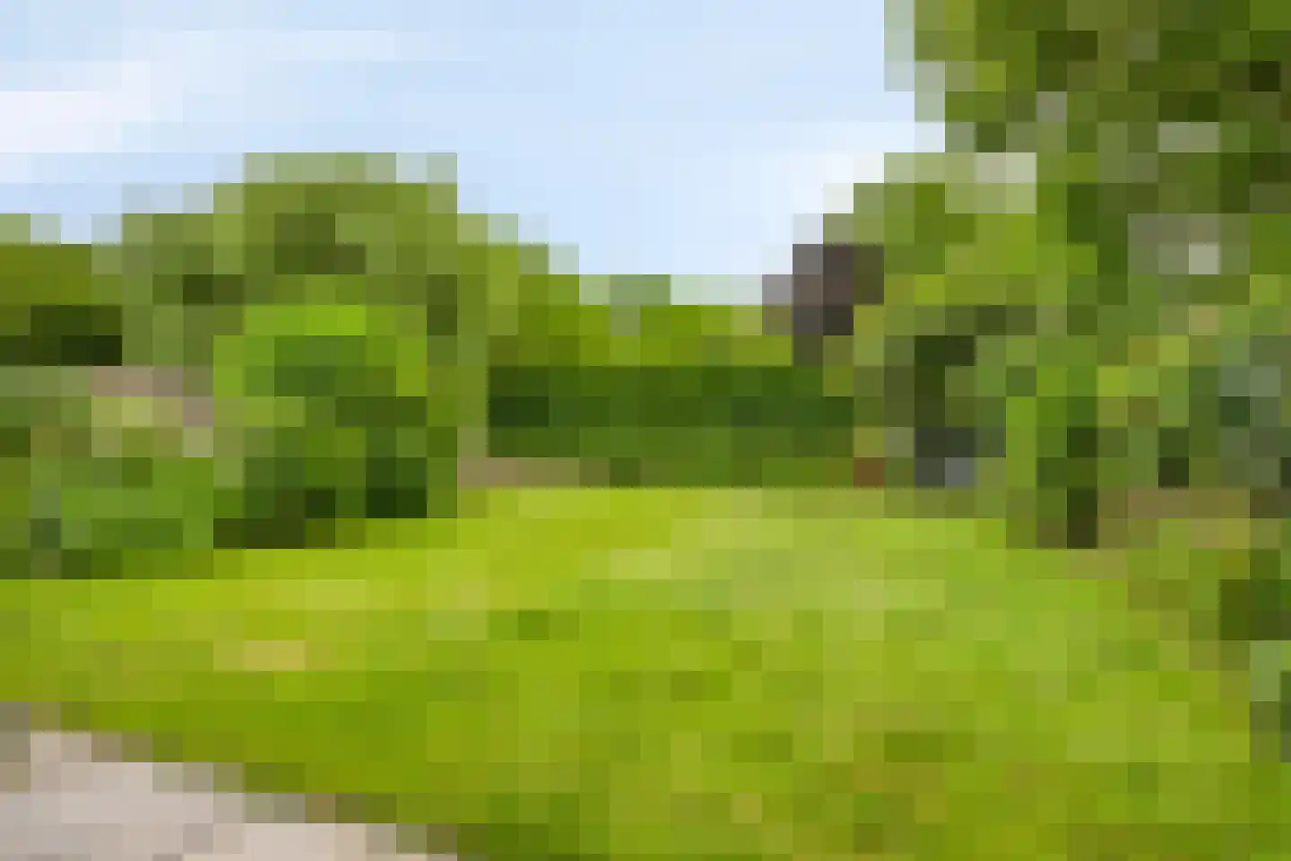 Torenlaan 19 Rossum thumbnail 38