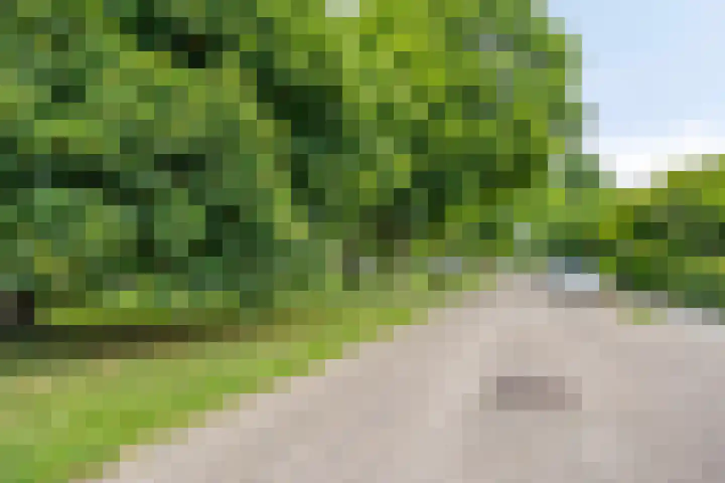 Torenlaan 19 Rossum thumbnail 41