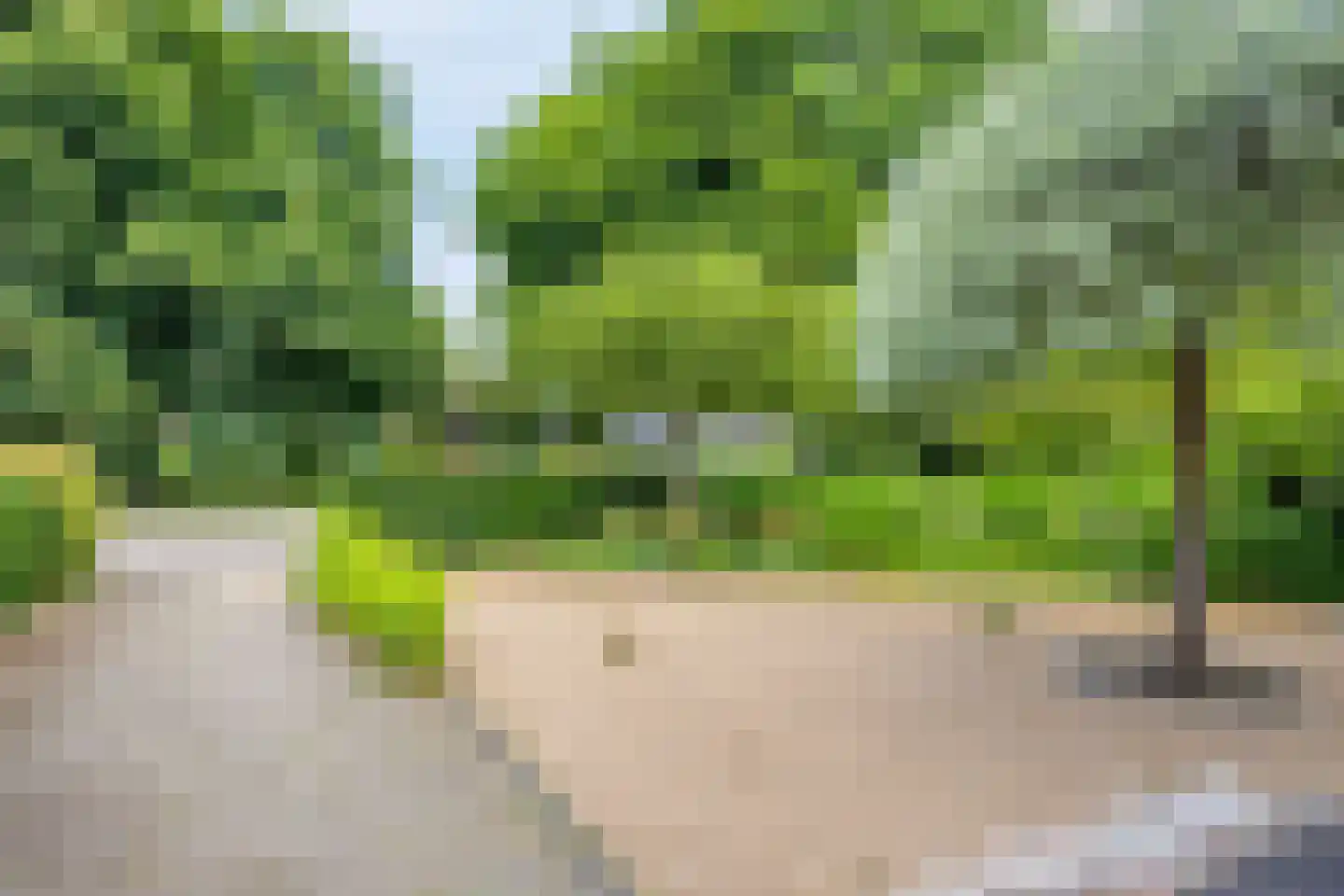 Torenlaan 19 Rossum thumbnail 42