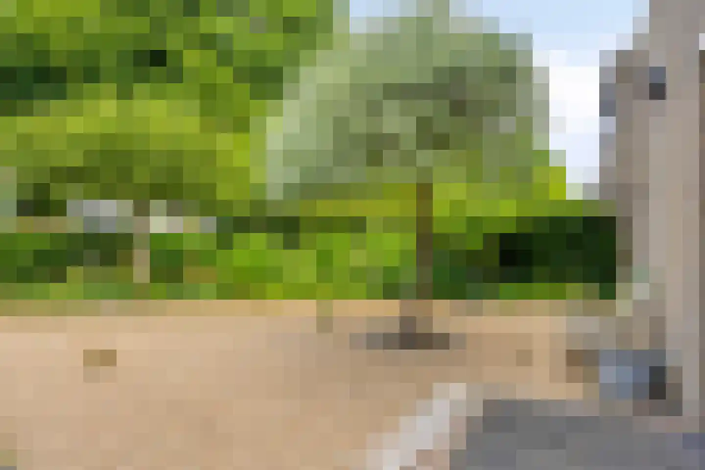 Torenlaan 19 Rossum thumbnail 43
