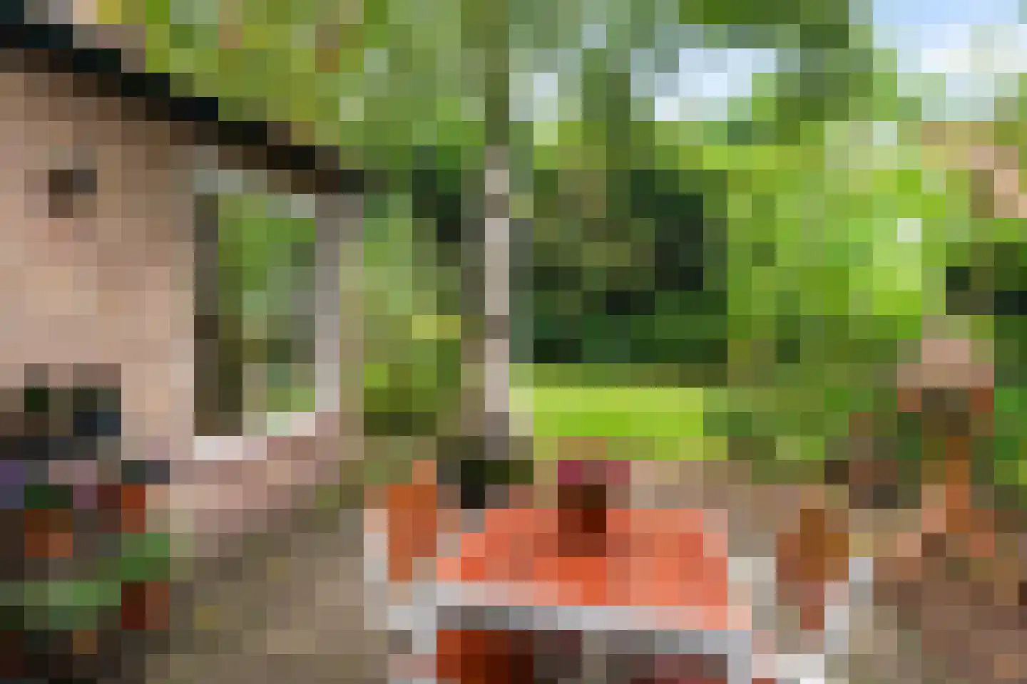 Torenlaan 2 A Ermelo thumbnail 12