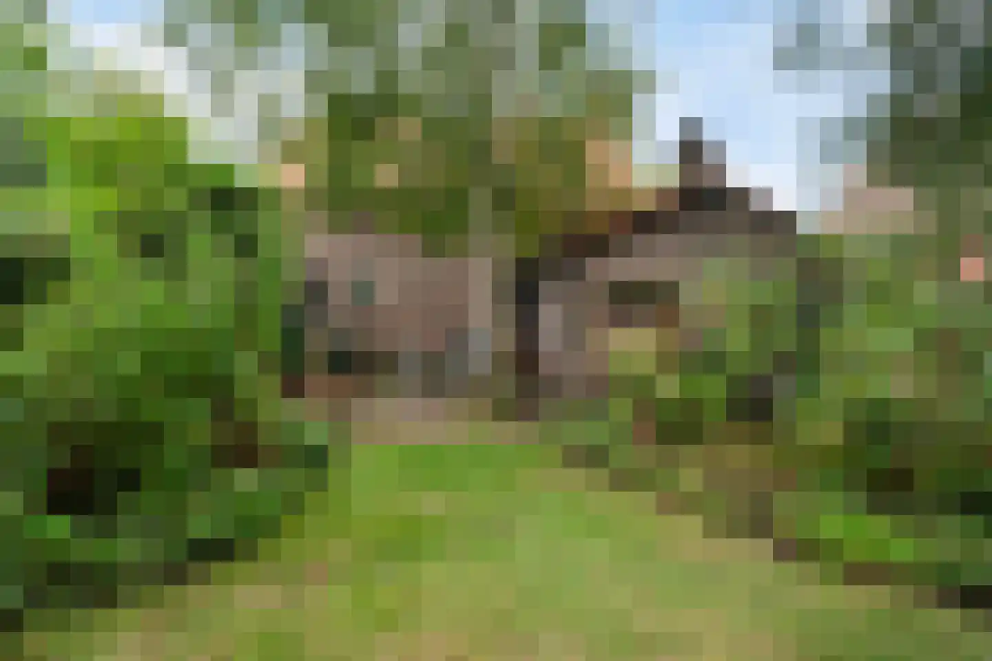 Torenlaan 2 A Ermelo thumbnail 13