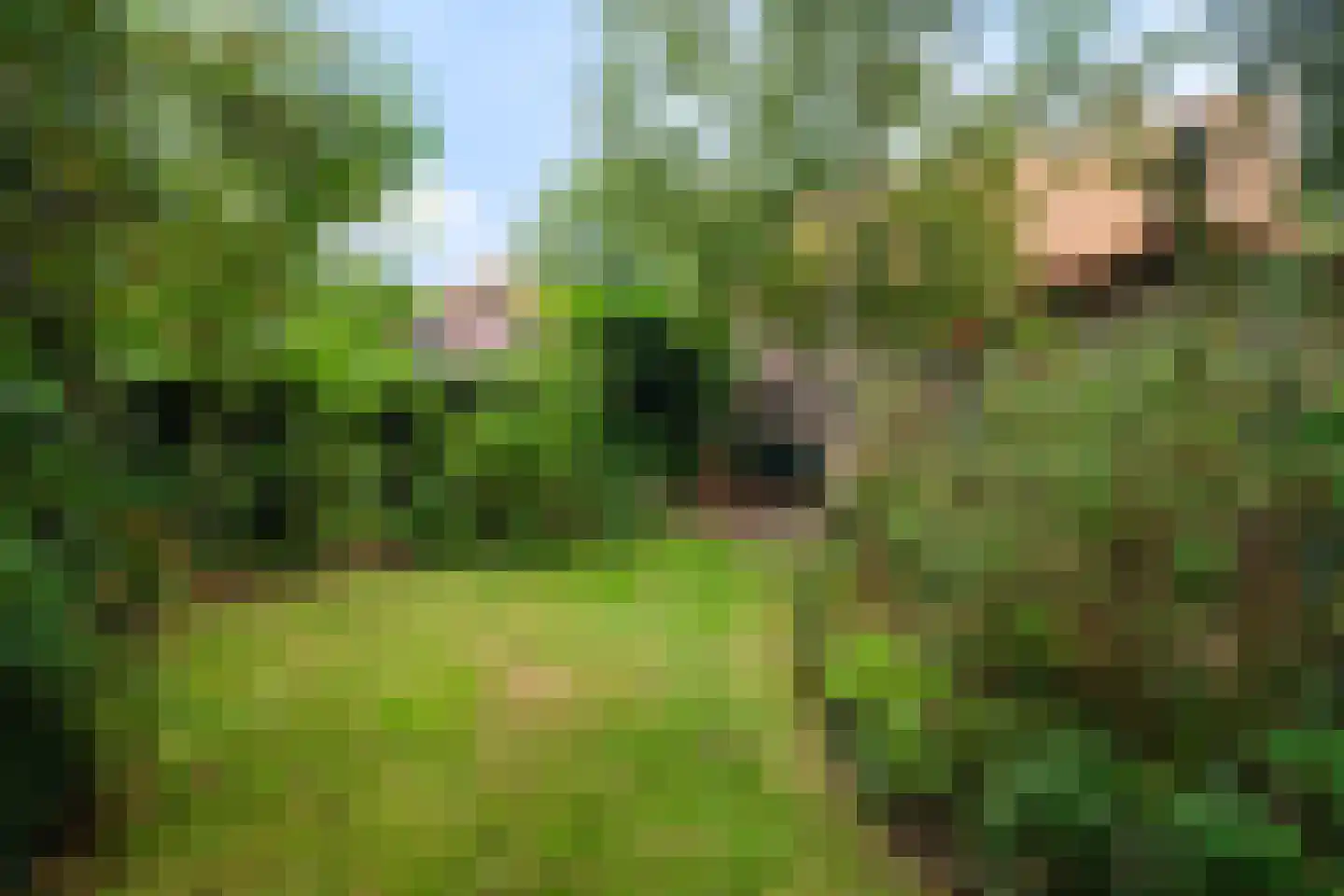 Torenlaan 2 A Ermelo thumbnail 4