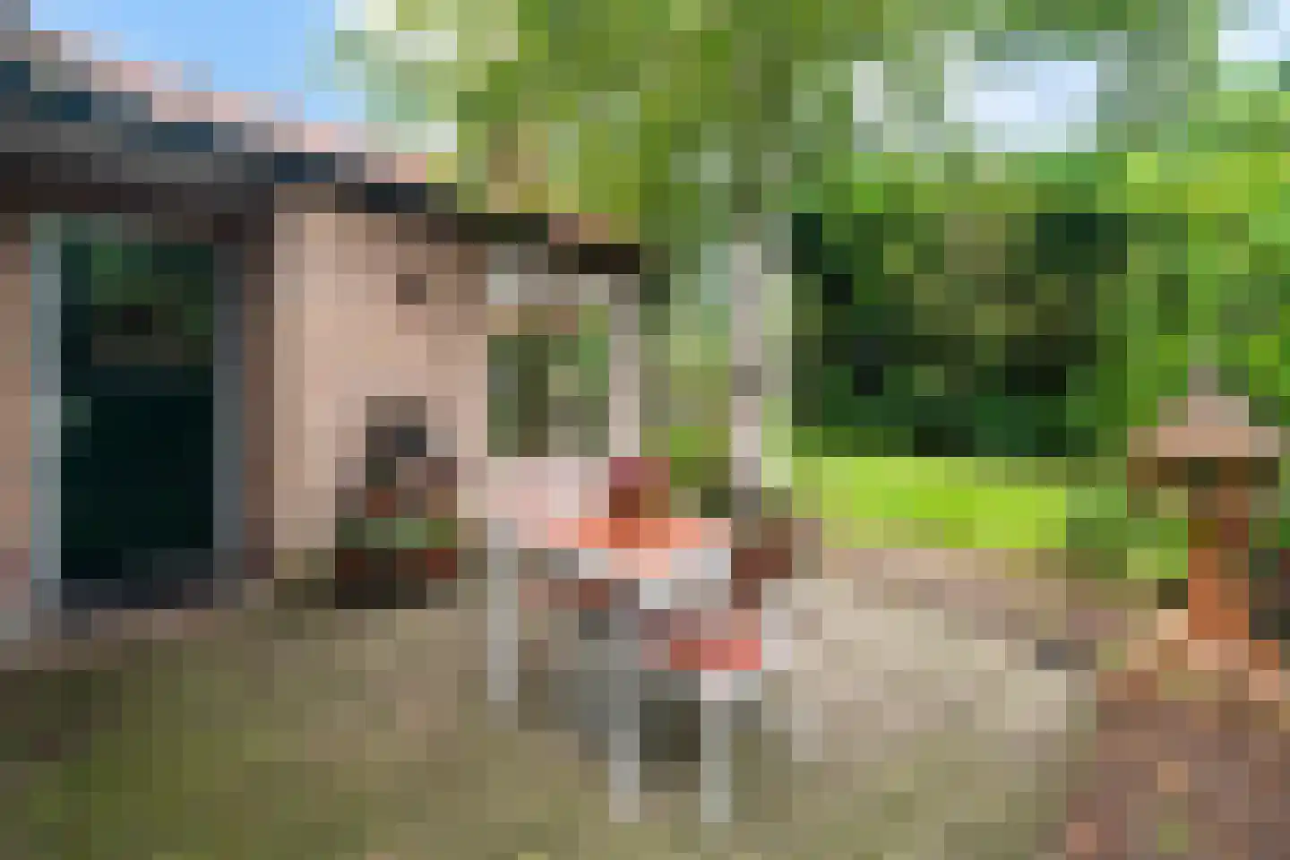 Torenlaan 2 A Ermelo thumbnail 44