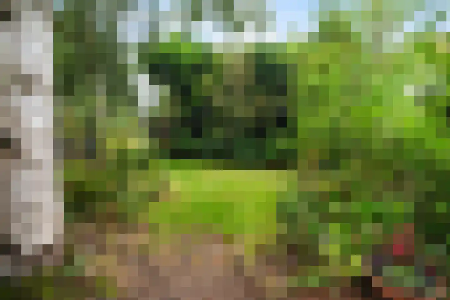Torenlaan 2 A Ermelo thumbnail 46