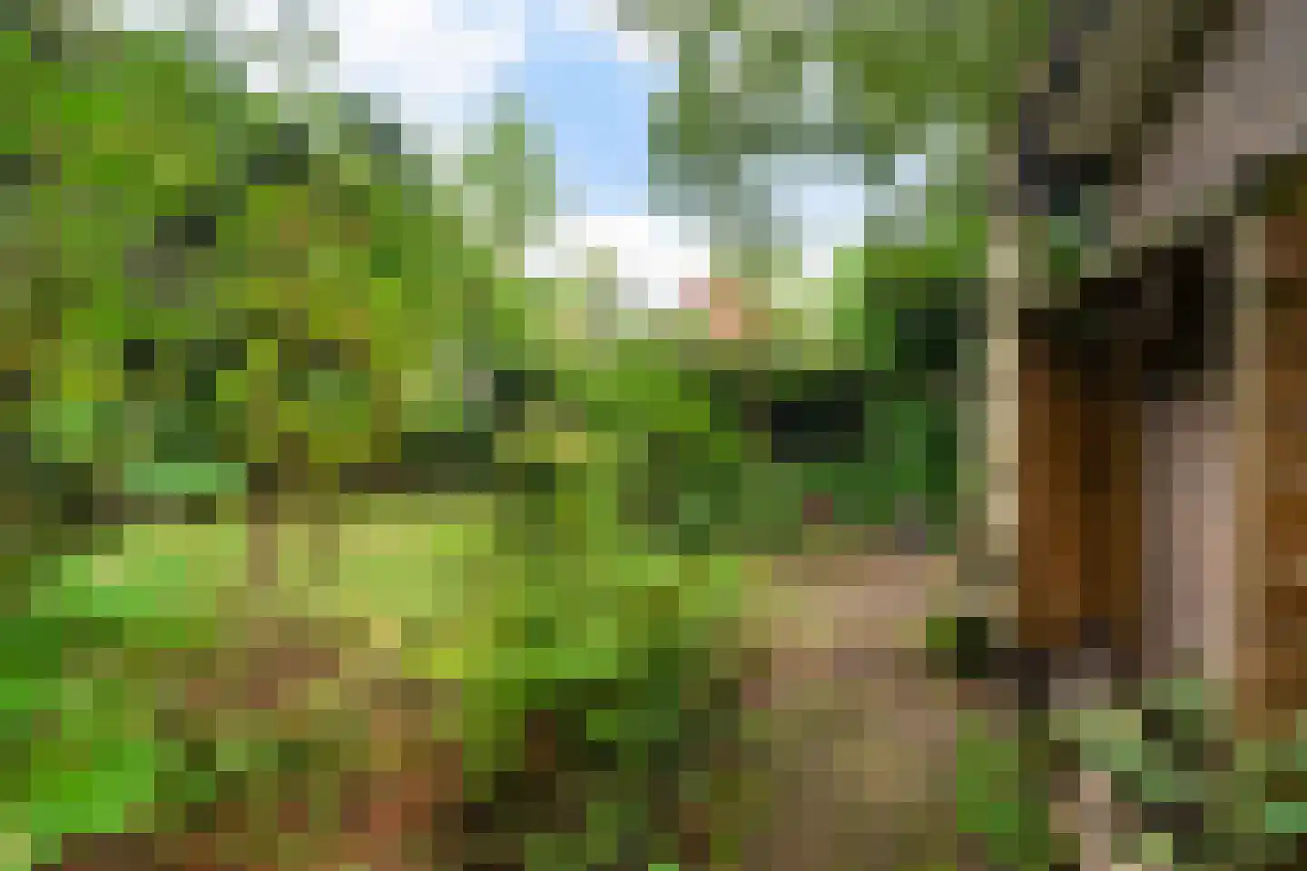 Torenlaan 2 A Ermelo thumbnail 47