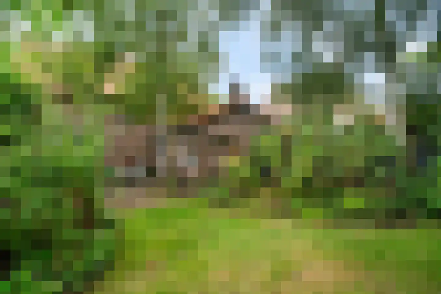 Torenlaan 2 A Ermelo thumbnail 48
